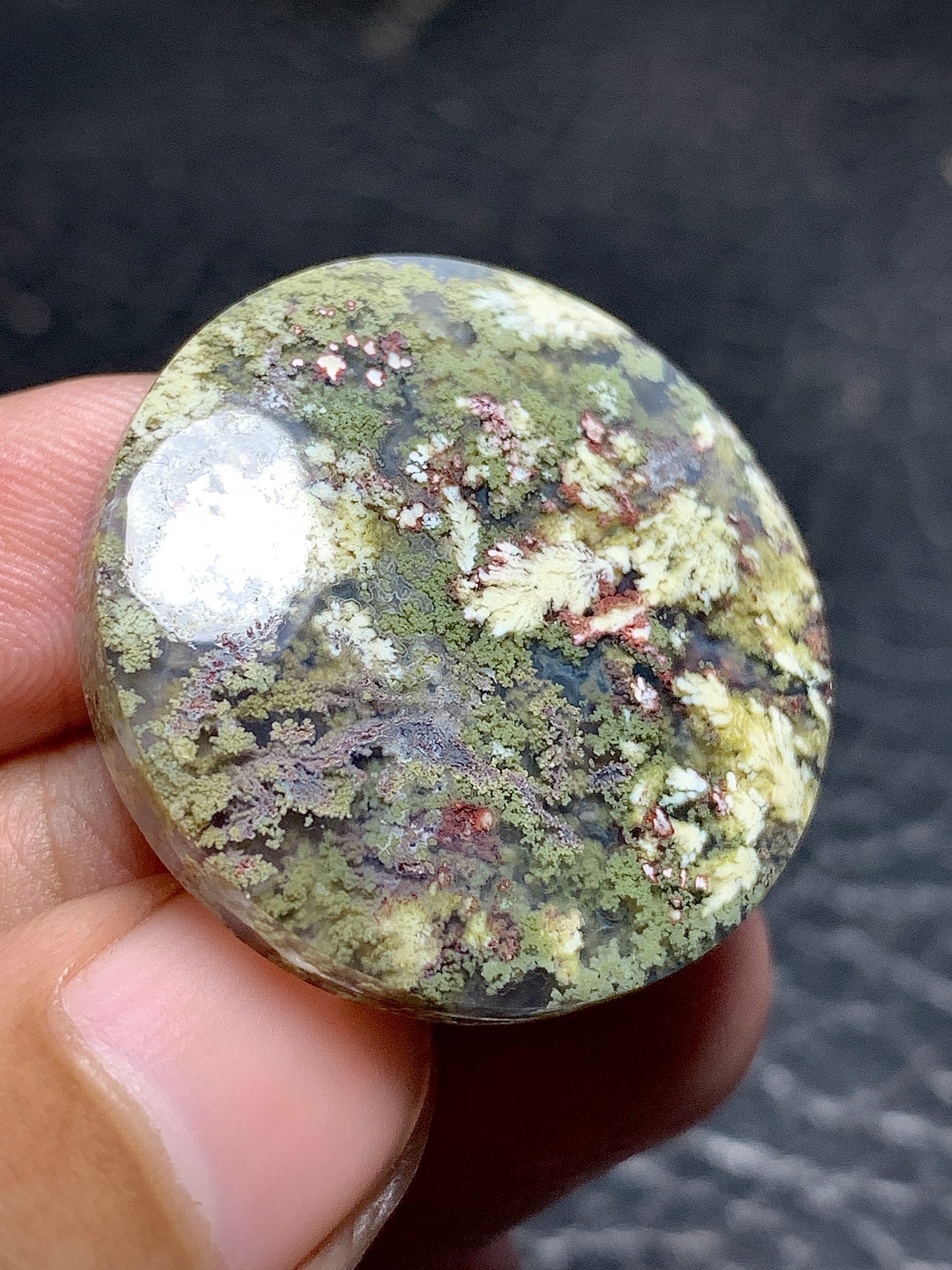 Moss Plume Agate Round Cabochon 29x29x6.5mm