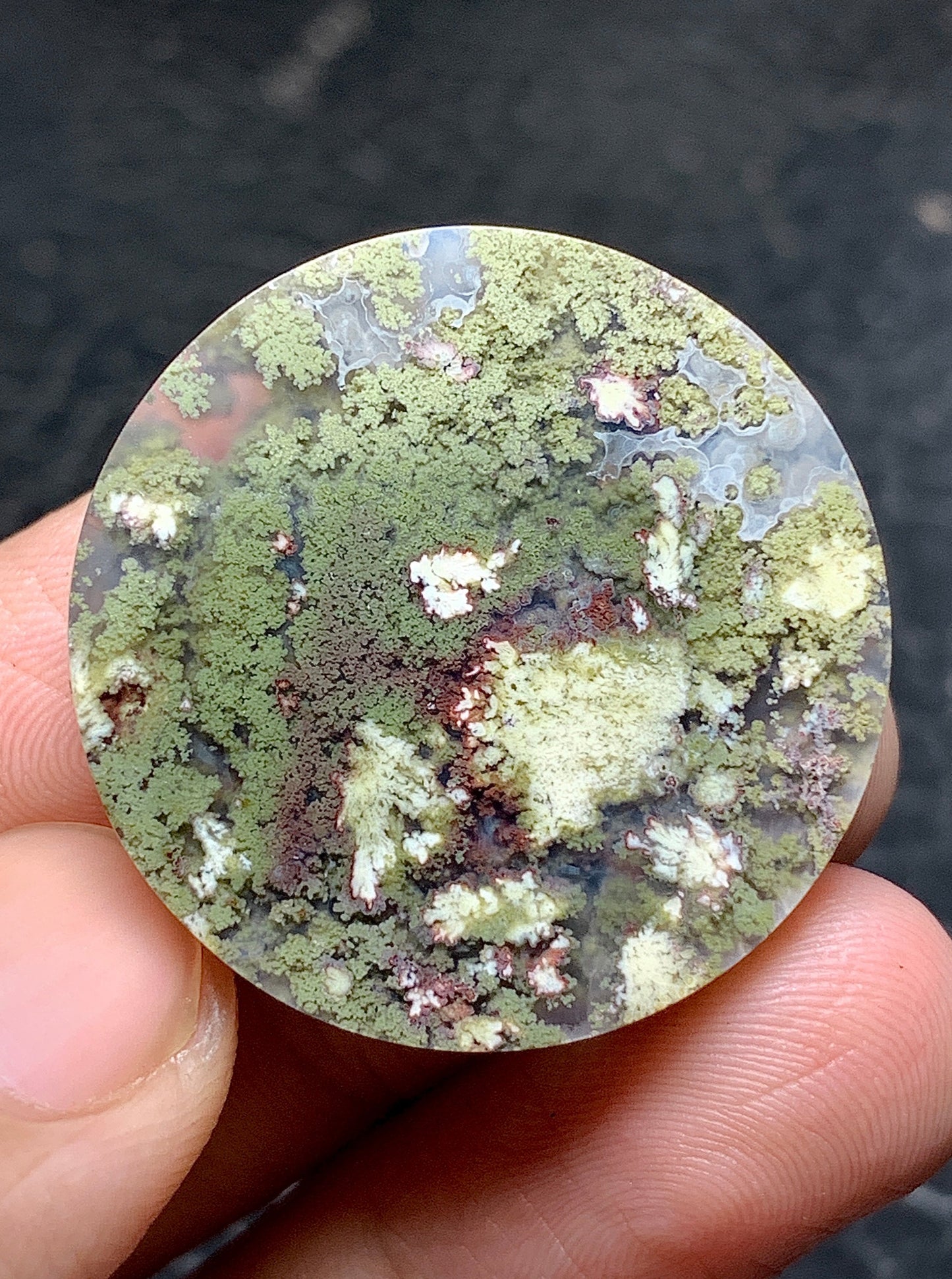 Moss Plume Agate Round Cabochon 29x29x6.5mm