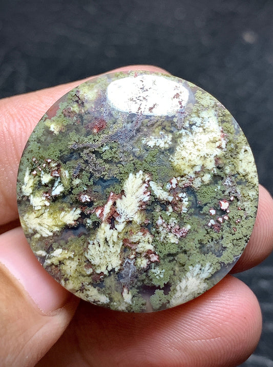 Moss Plume Agate Round Cabochon 29x29x6.5mm