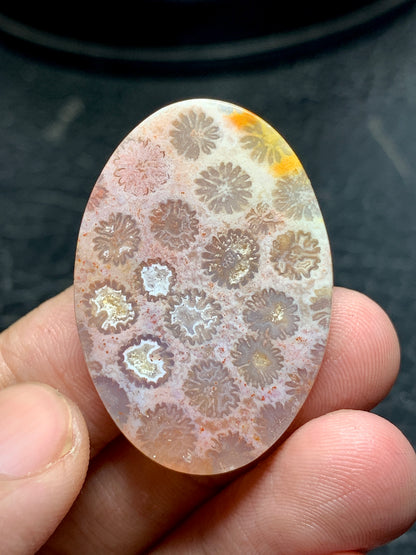 Unique Coral Fossil Oval Cabochon 35.8x25x7mm