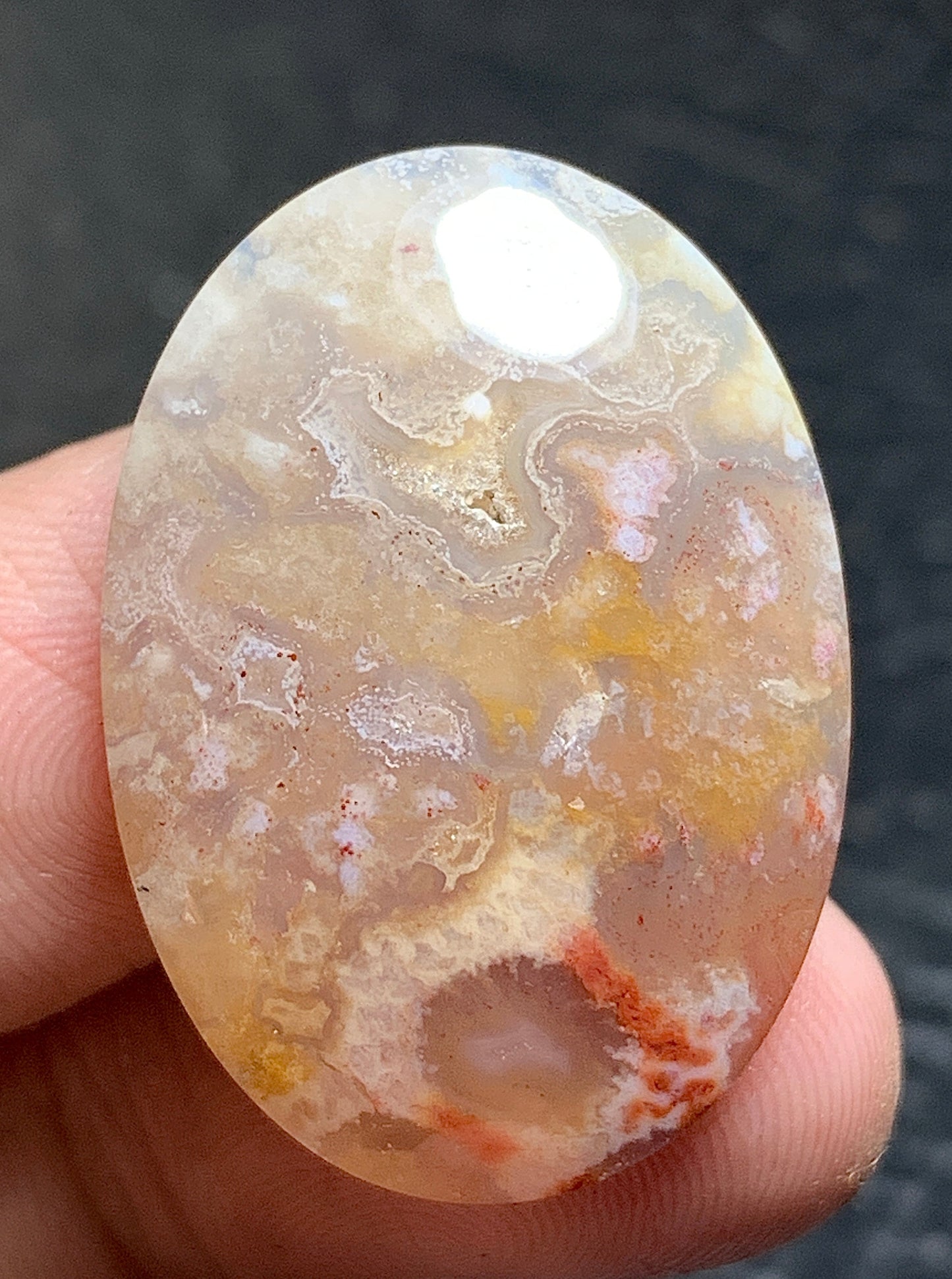 Unique Coral Fossil Oval Cabochon 29.5x21x6.3mm