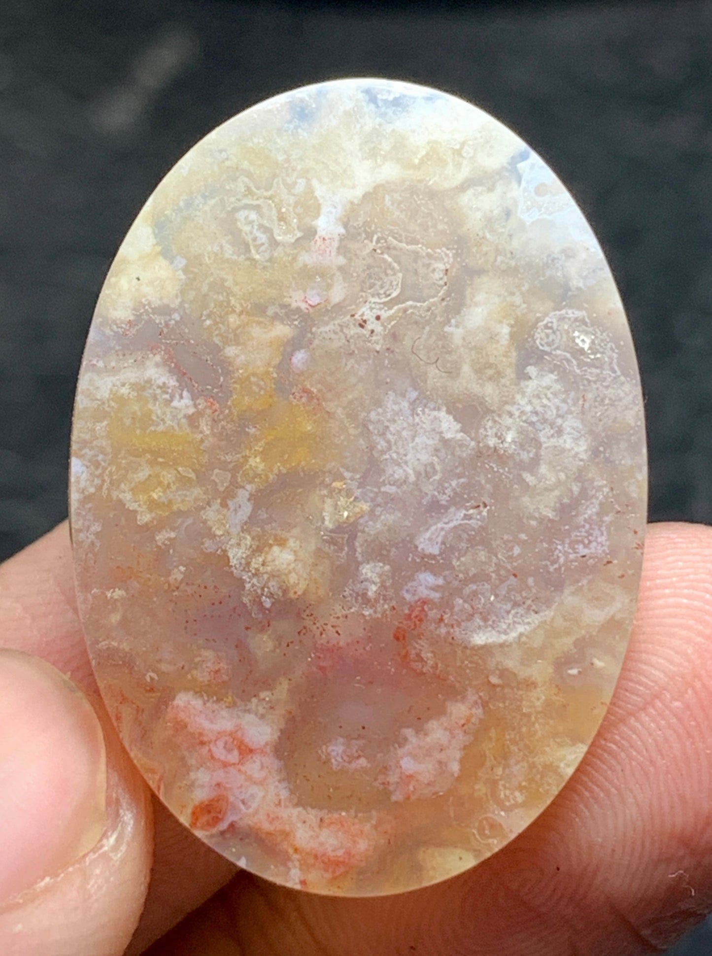 Unique Coral Fossil Oval Cabochon 29.5x21x6.3mm