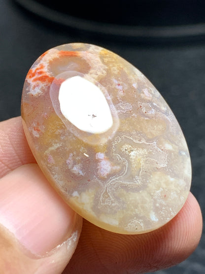 Unique Coral Fossil Oval Cabochon 29.5x21x6.3mm