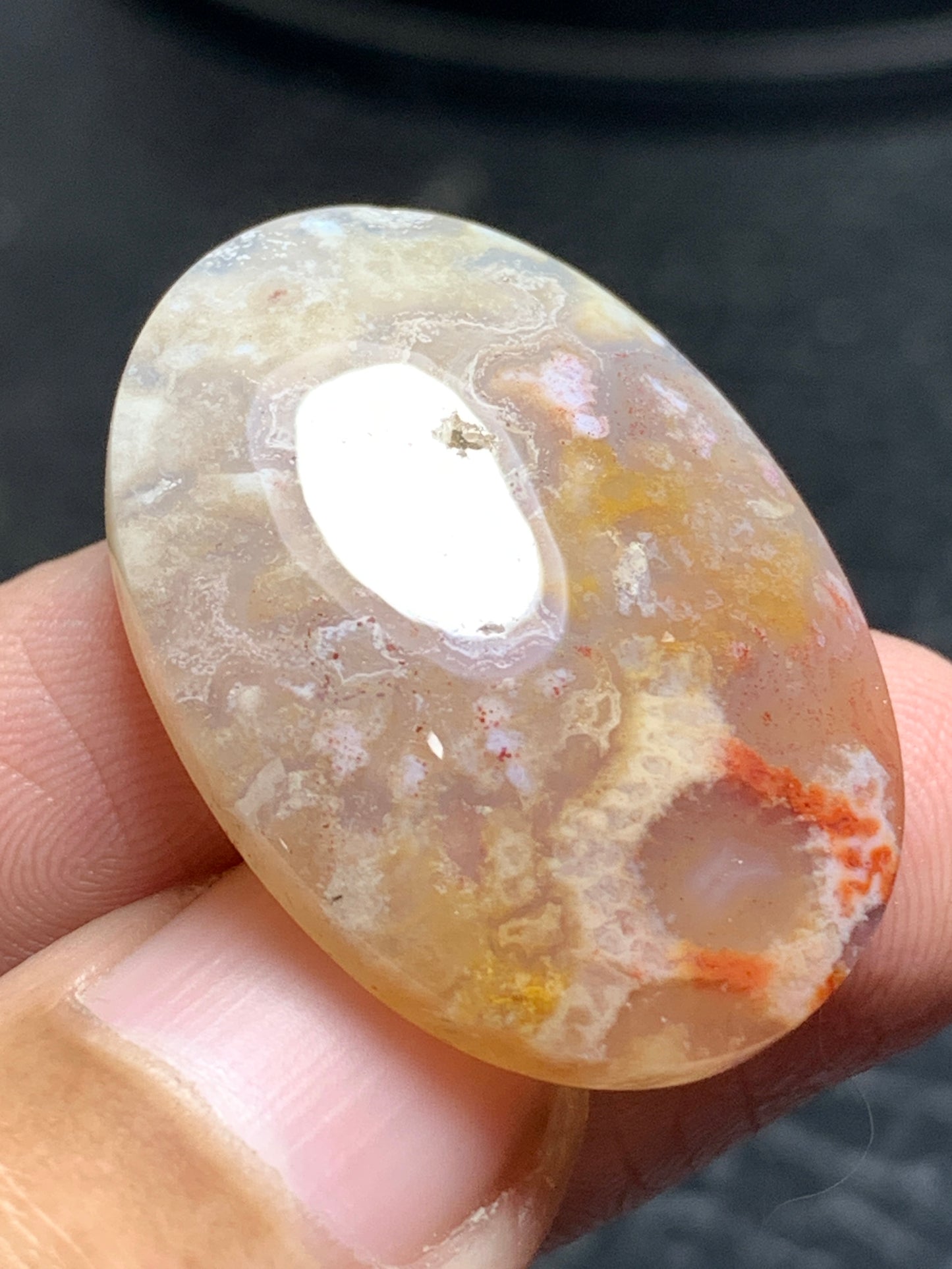 Unique Coral Fossil Oval Cabochon 29.5x21x6.3mm