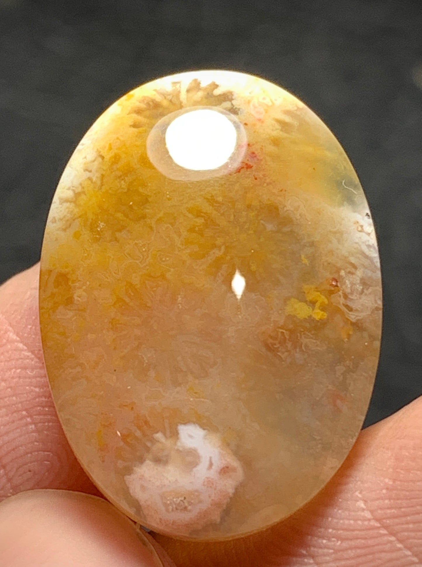 Unique Coral Fossil Oval Cabochon 22.4x16x5.5mm