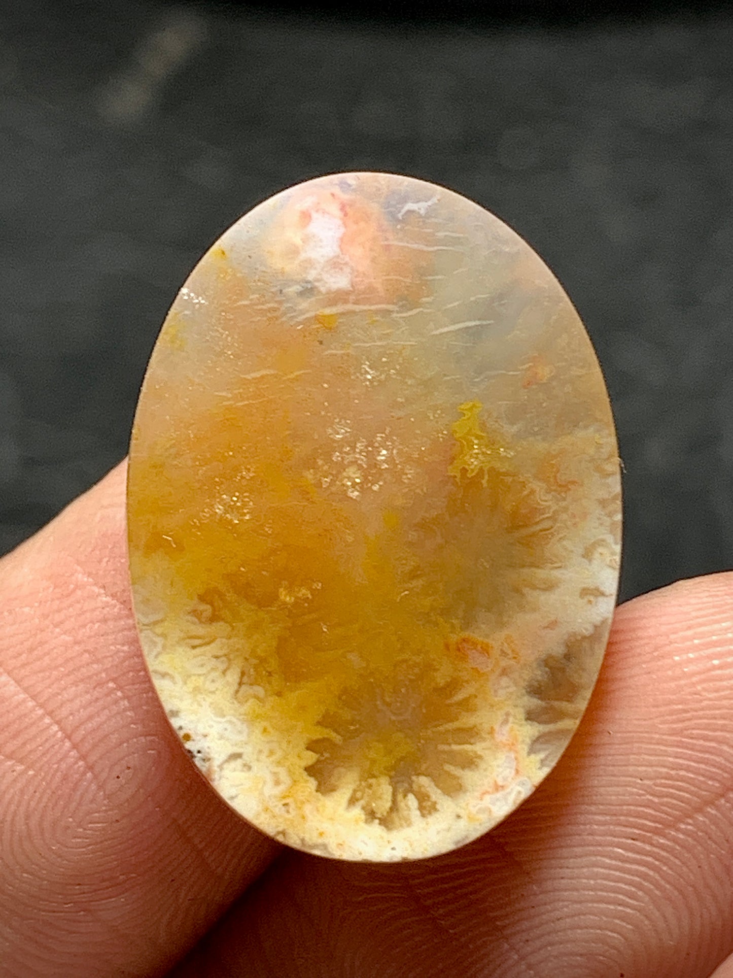 Unique Coral Fossil Oval Cabochon 22.4x16x5.5mm