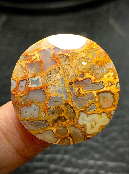 Petrified Palm Root Round Cabochon 26.7x26.7x6mm with Pocket Fortification