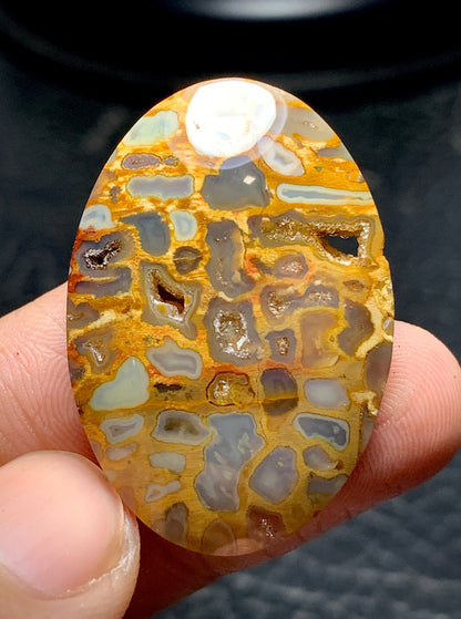 Petrified Palm Root Oval Cabochon 34x23.5x6.4 mm with Pockets Fortification