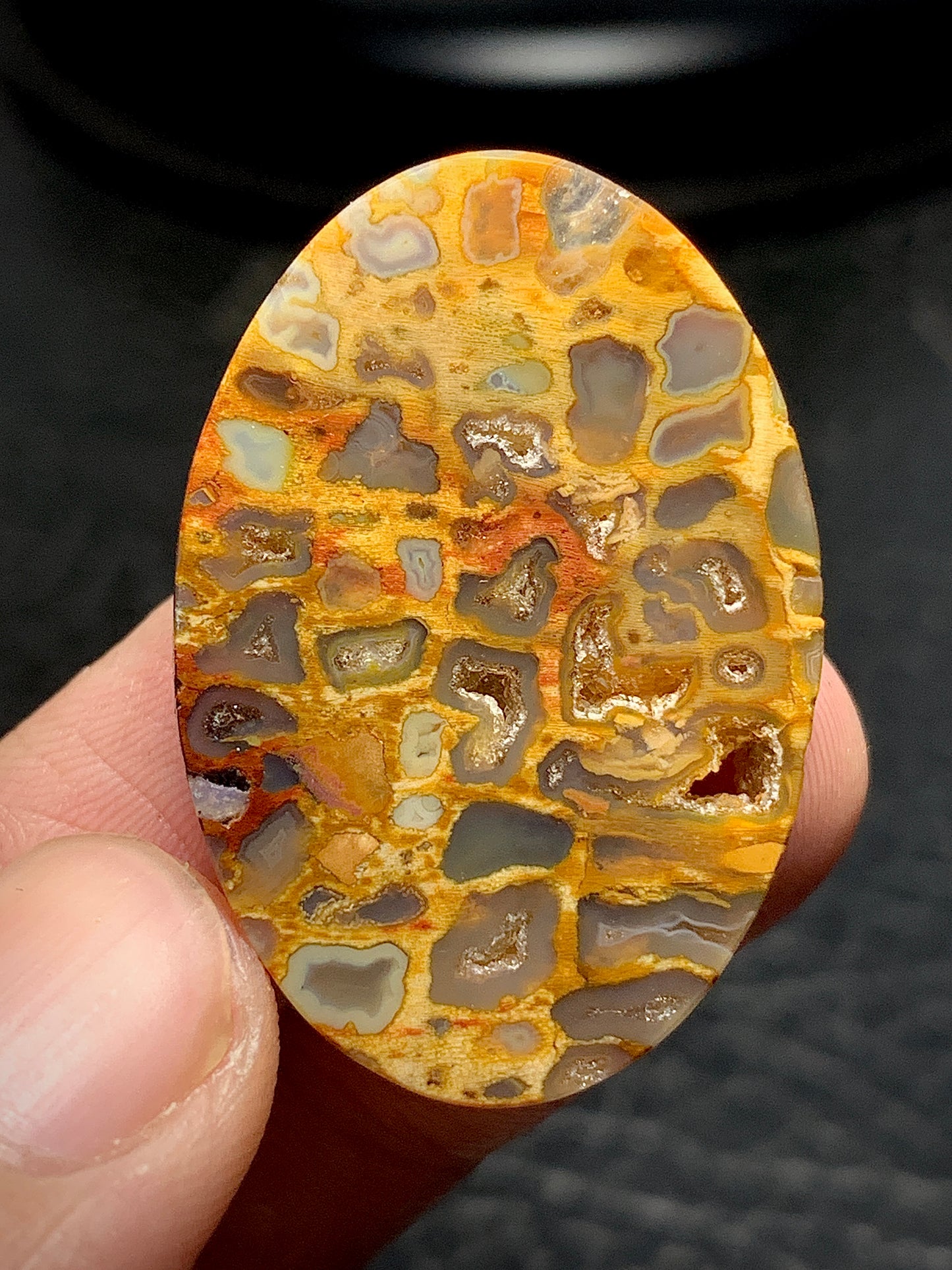 Petrified Palm Root Oval Cabochon 34x23.5x6.4 mm with Pockets Fortification