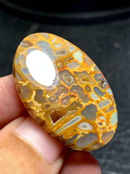 Petrified Palm Root Oval Cabochon 34x23.5x6.4 mm with Pockets Fortification