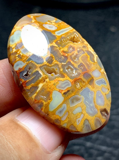 Petrified Palm Root Oval Cabochon 34x23.5x6.4 mm with Pockets Fortification