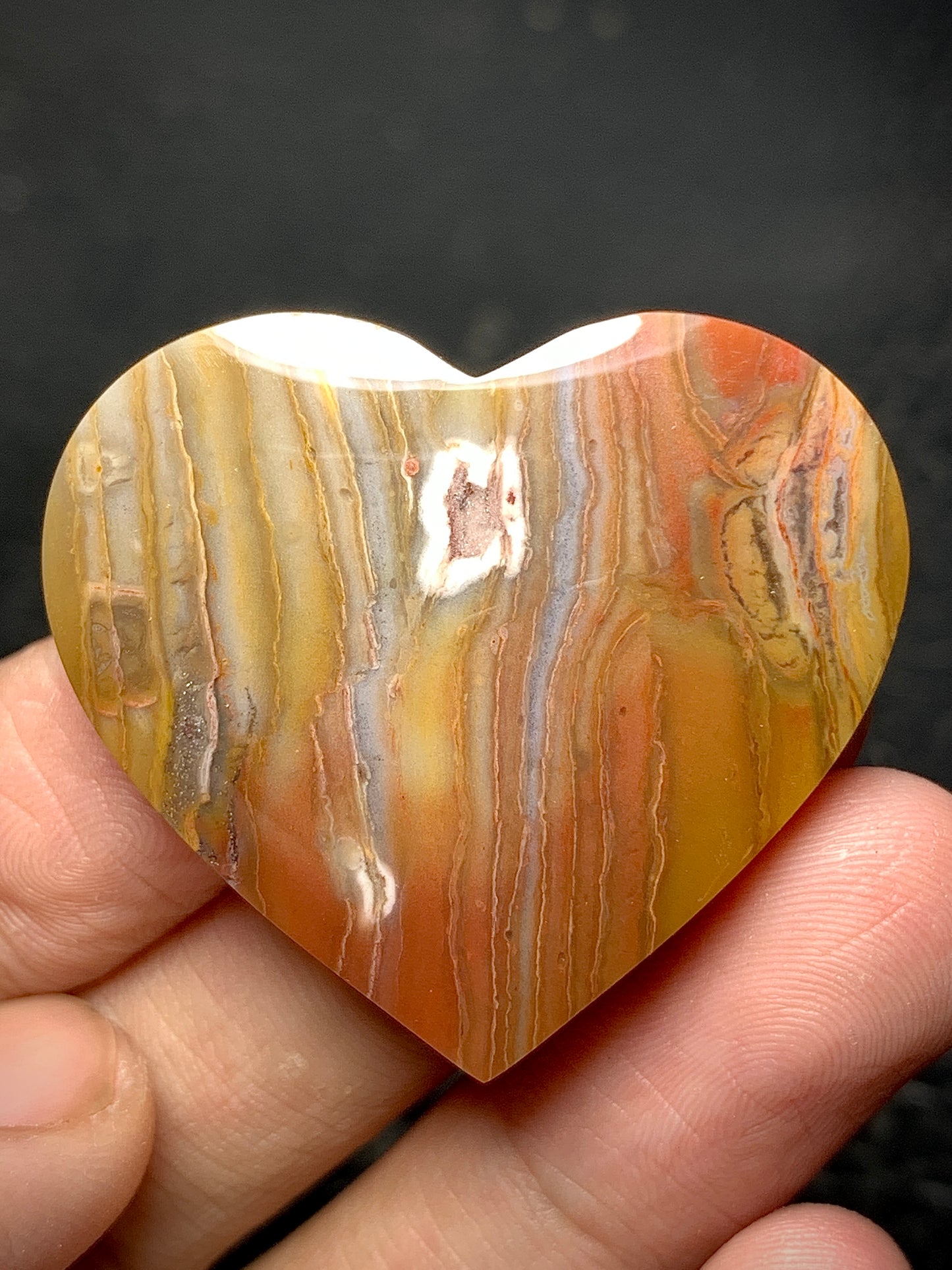 Unique Multicolor Petrified Wood Heart Cabochon 36x33x5.9mm