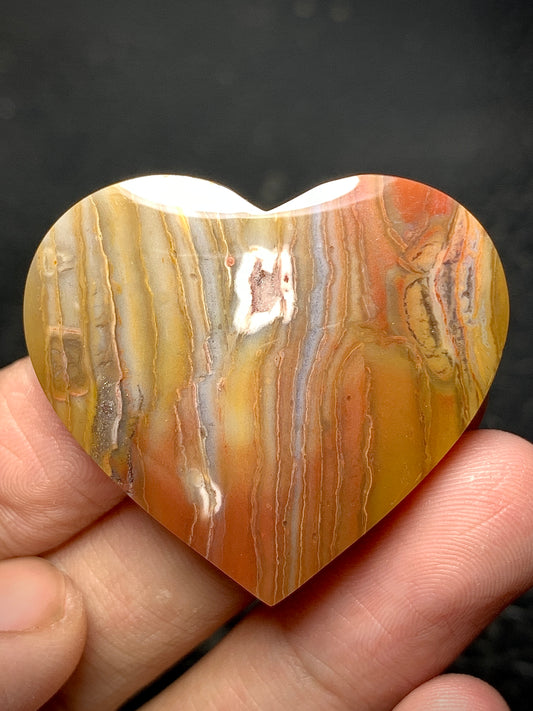 Unique Multicolor Petrified Wood Heart Cabochon 36x33x5.9mm