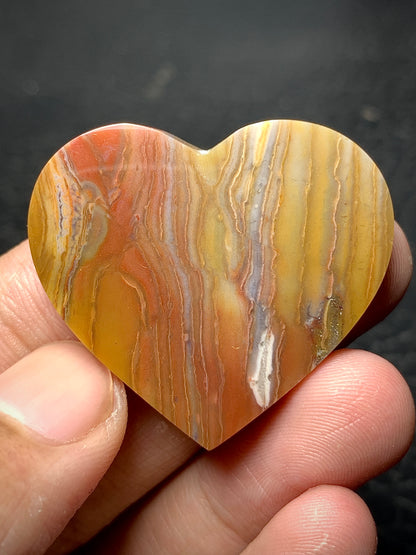 Unique Multicolor Petrified Wood Heart Cabochon 36x33x5.9mm