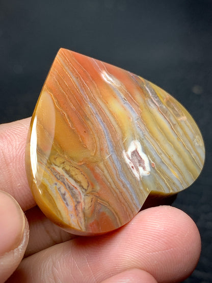 Unique Multicolor Petrified Wood Heart Cabochon 36x33x5.9mm