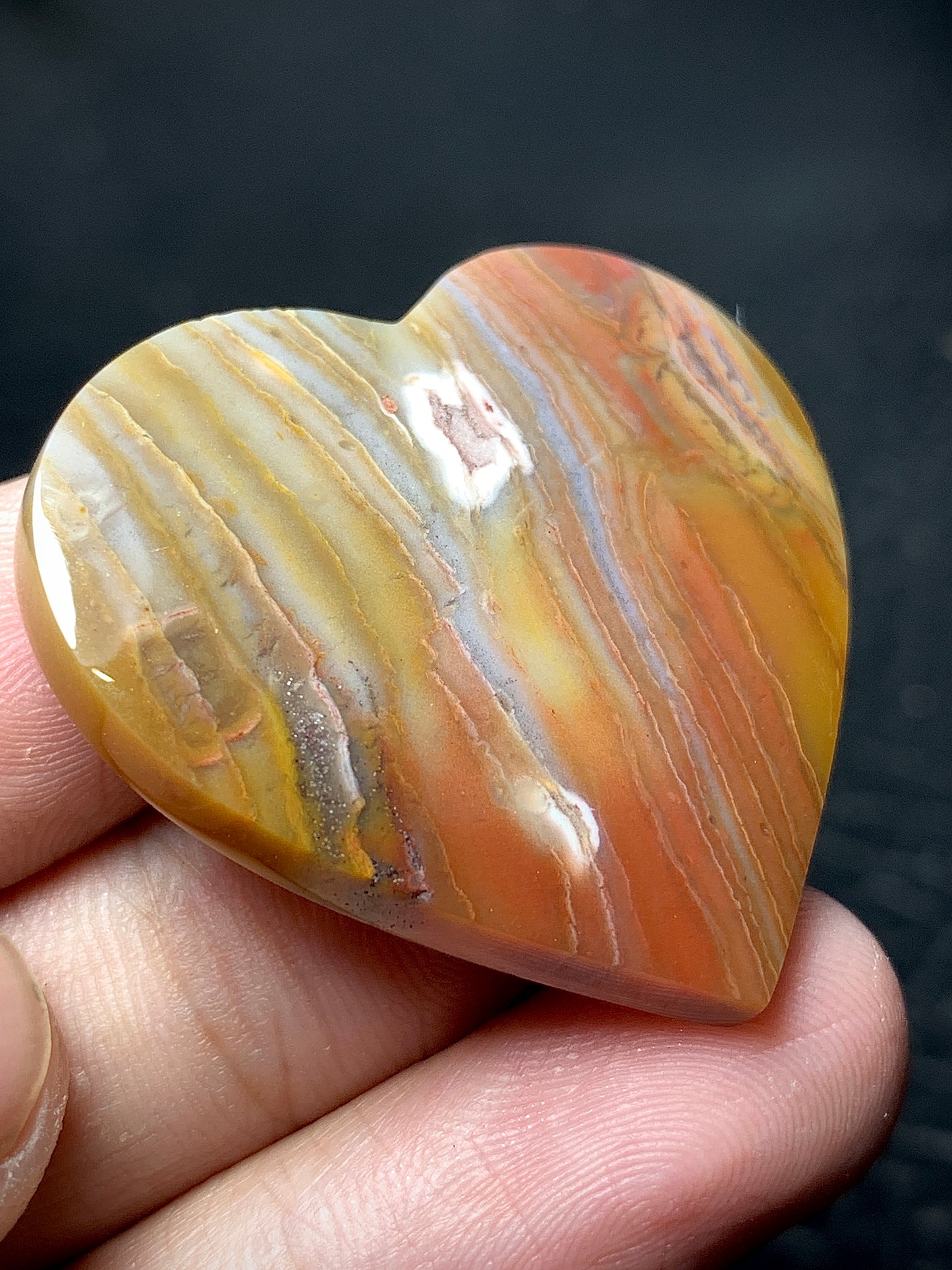 Unique Multicolor Petrified Wood Heart Cabochon 36x33x5.9mm