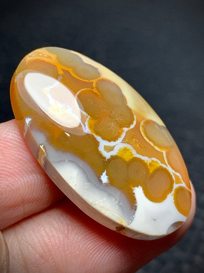 Unique Orbicular Agate Oval Cabochon 31x18.8x6mm