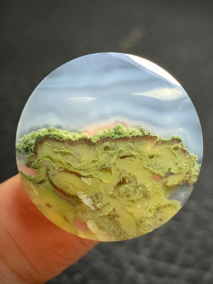 Scenic Moss Agate Round Cabochon 24.5x24.5x4mm