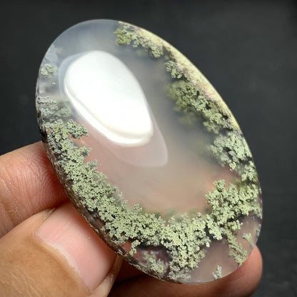 Scenic Moss Agate Oval Cabochon 47x32x7mm High Quality with Lake Pattern