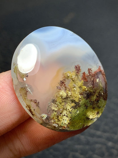 Scenic Moss Agate Round Cabochon 29x29x7mm