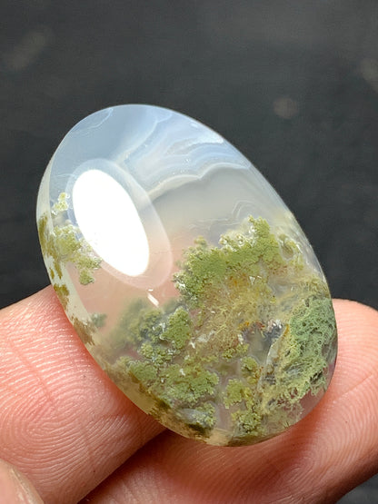 Scenic Moss Agate Oval Cabochon 27x19x6mm