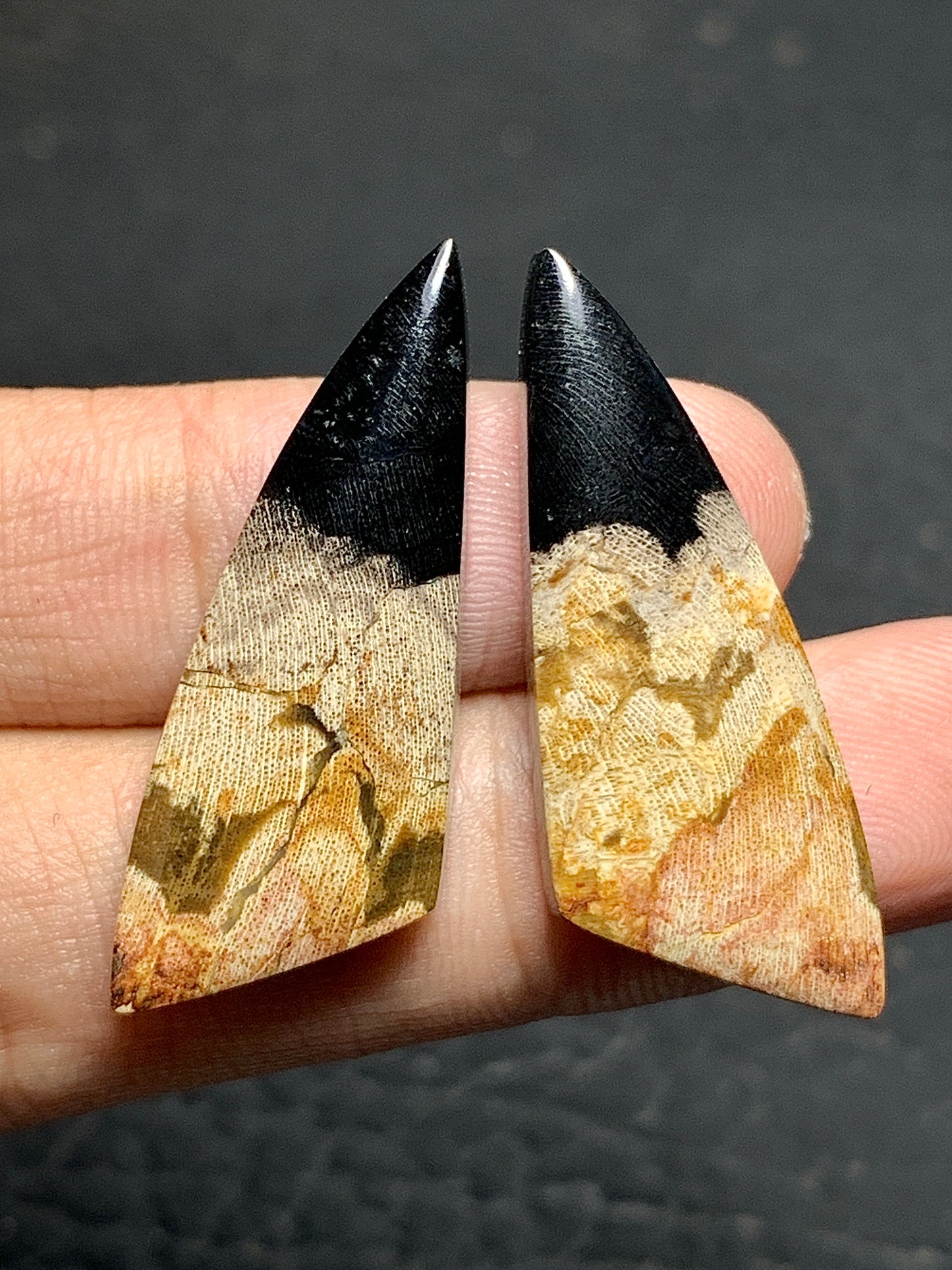 Pair of Petrified Wood Teardrop Cabochons 35x13.5x4.5mm (Each)