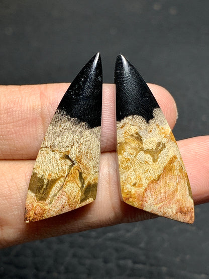 Pair of Petrified Wood Teardrop Cabochons 35x13.5x4.5mm (Each)