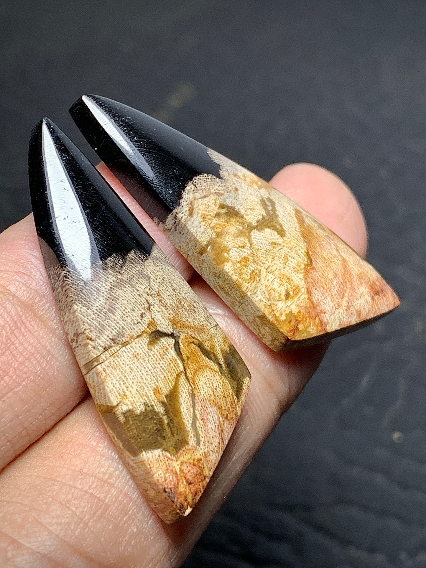 Pair of Petrified Wood Teardrop Cabochons 35x13.5x4.5mm (Each)