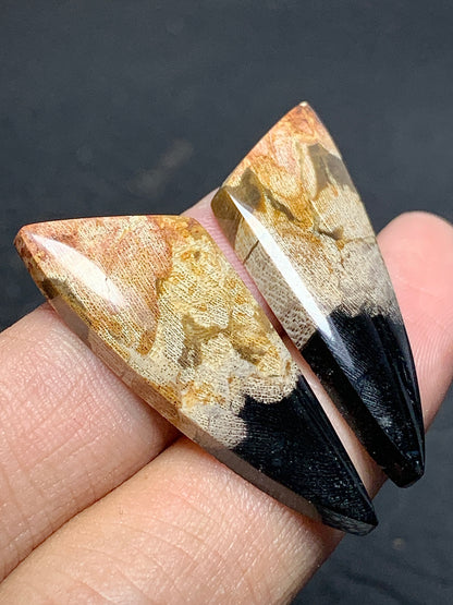 Pair of Petrified Wood Teardrop Cabochons 35x13.5x4.5mm (Each)