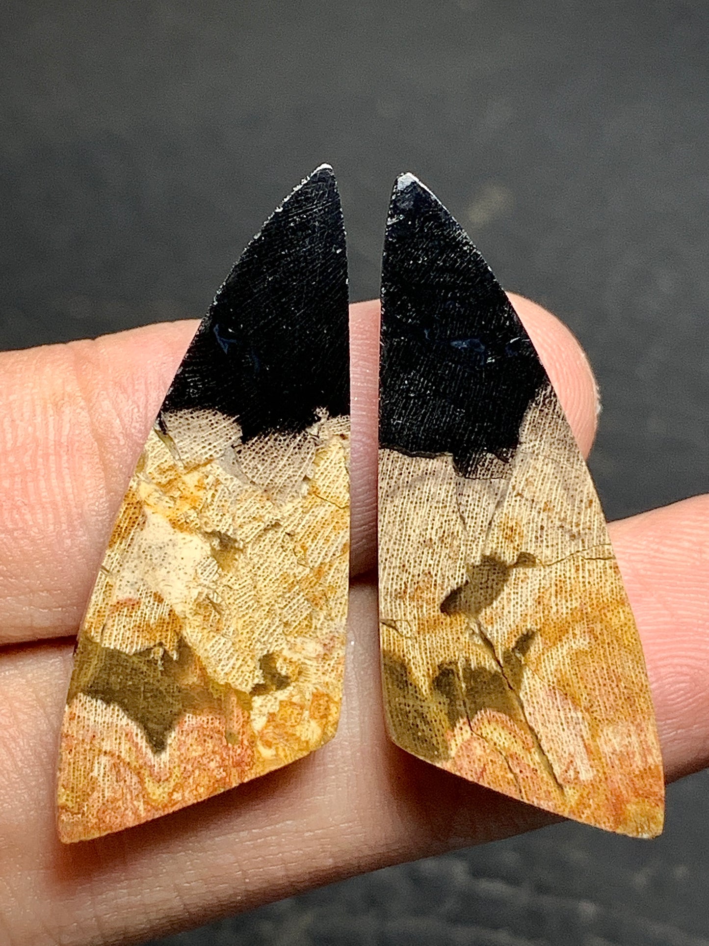 Pair of Petrified Wood Teardrop Cabochons 35x13.5x4.5mm (Each)