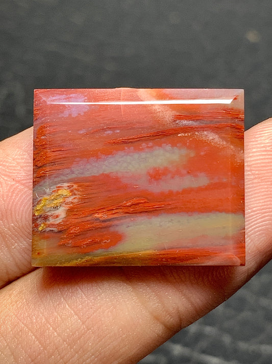 Petrified Palmwood Rectangle Cabochon 23x19x4mm