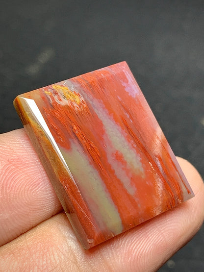 Petrified Palmwood Rectangle Cabochon 23x19x4mm