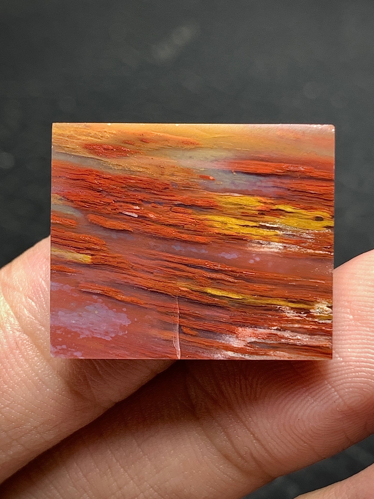 Petrified Palmwood Rectangle Cabochon 23x19x4mm