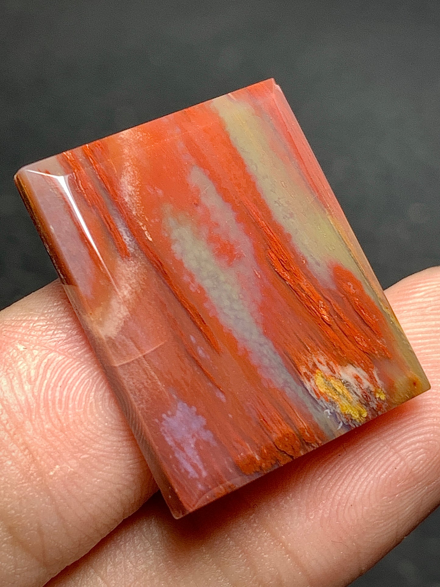 Petrified Palmwood Rectangle Cabochon 23x19x4mm