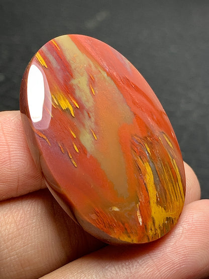 Multicolor Petrified Palmwood Oval Cabochon 37x26.3x7mm