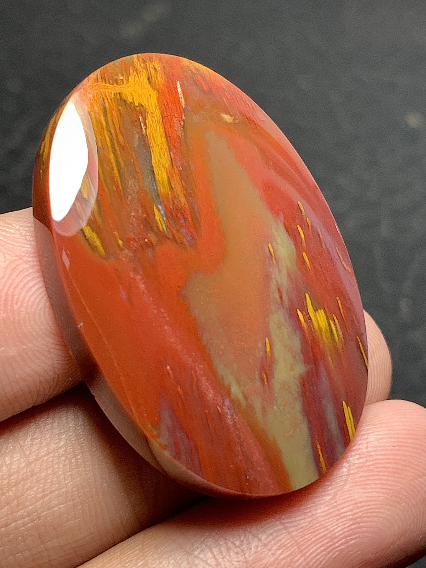 Multicolor Petrified Palmwood Oval Cabochon 37x26.3x7mm