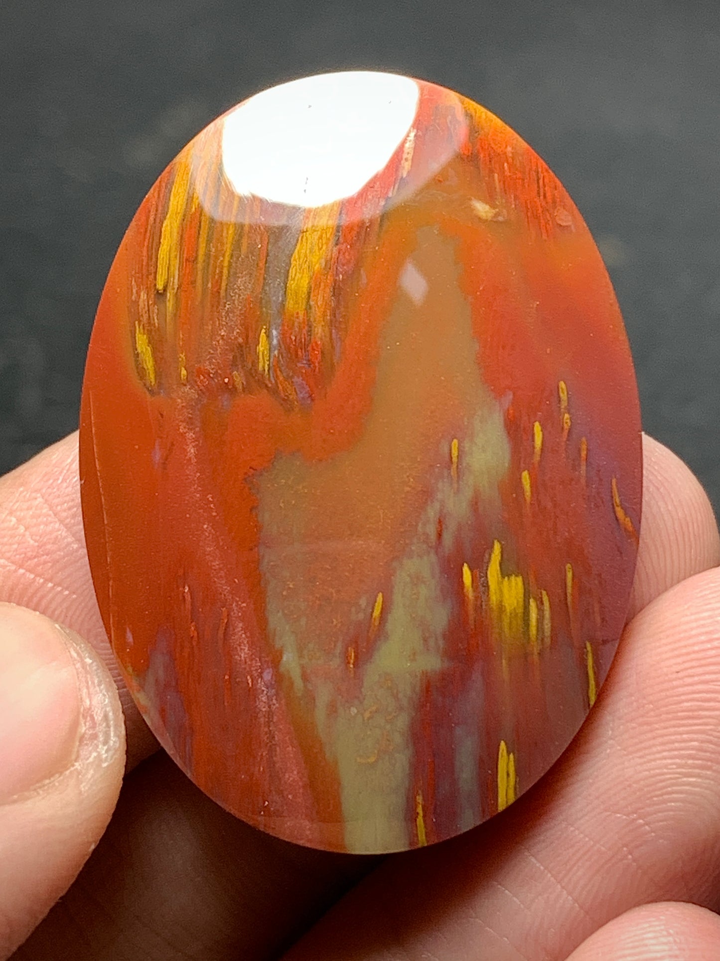 Multicolor Petrified Palmwood Oval Cabochon 37x26.3x7mm