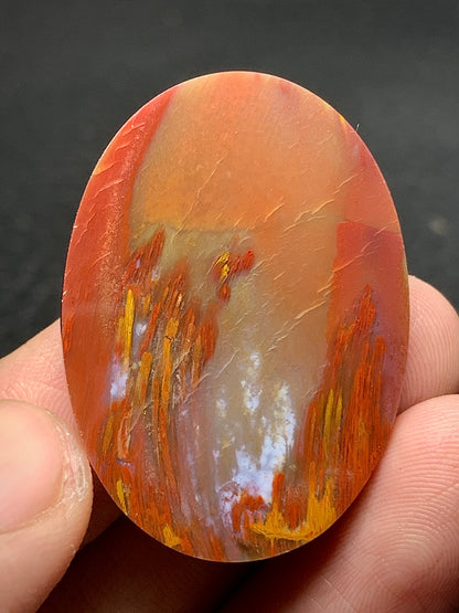 Multicolor Petrified Palmwood Oval Cabochon 37x26.3x7mm