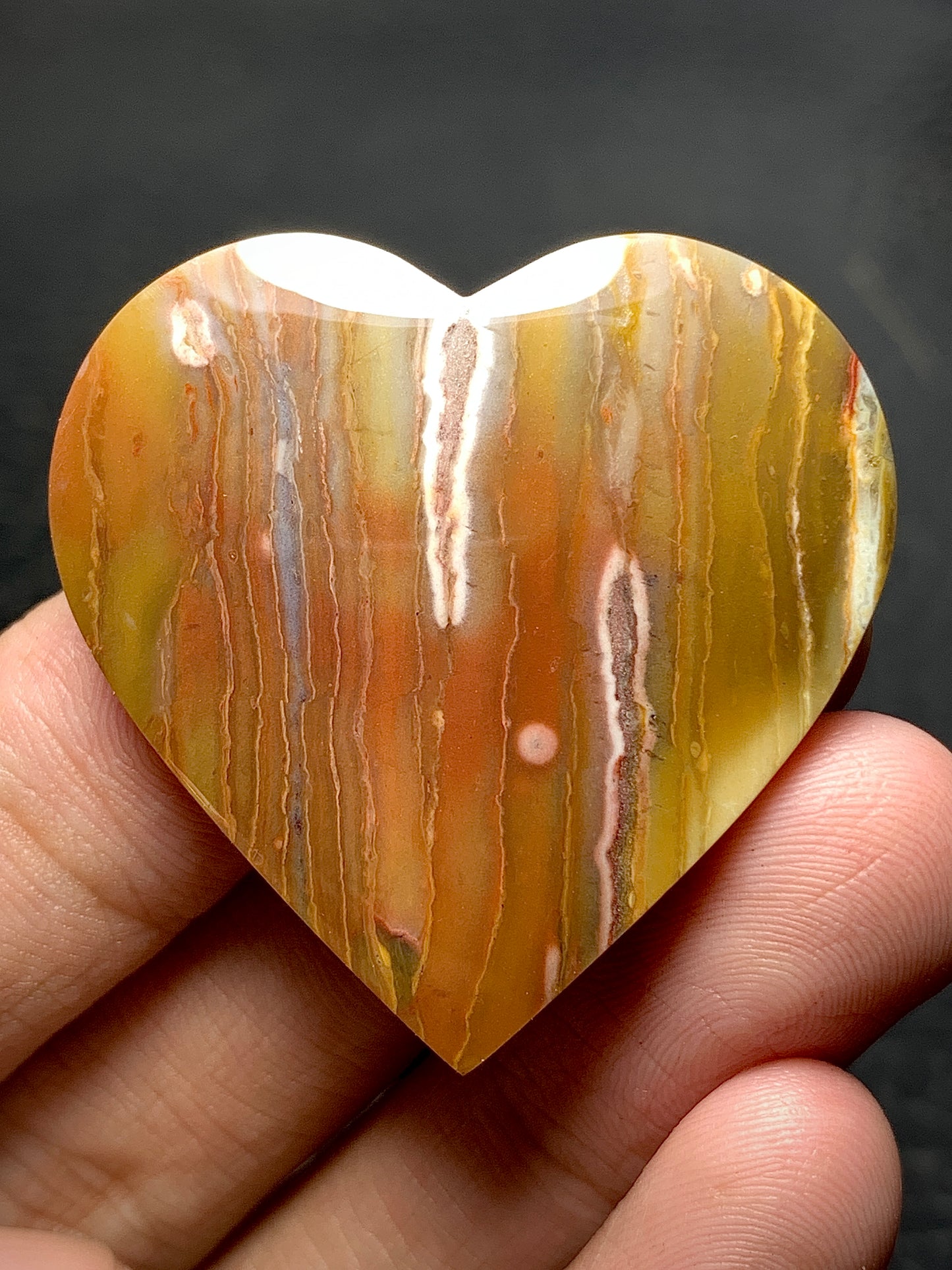 Petrified Palmwood Heart Cabochon 36x35.5x6.8mm