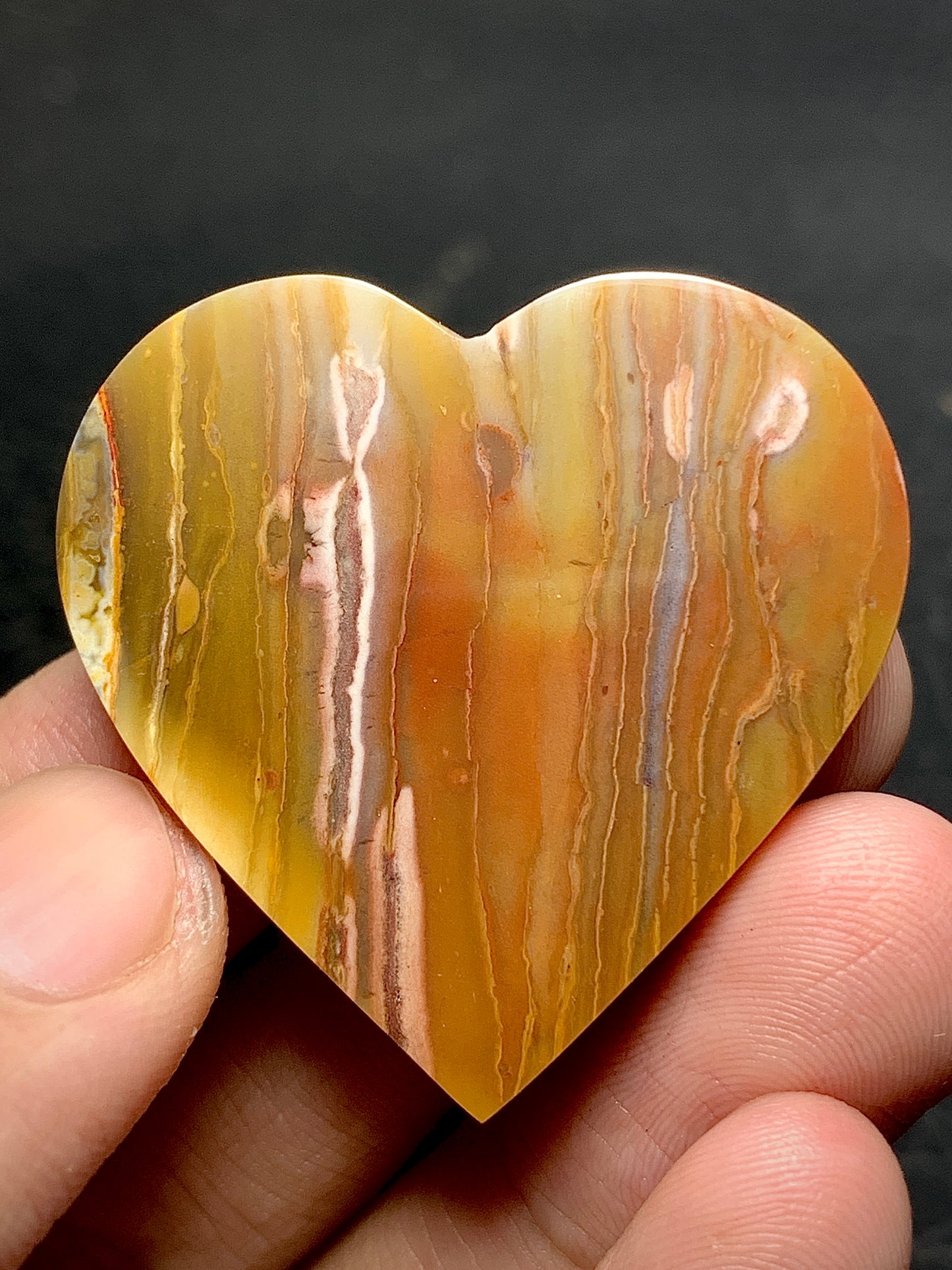 Petrified Palmwood Heart Cabochon 36x35.5x6.8mm