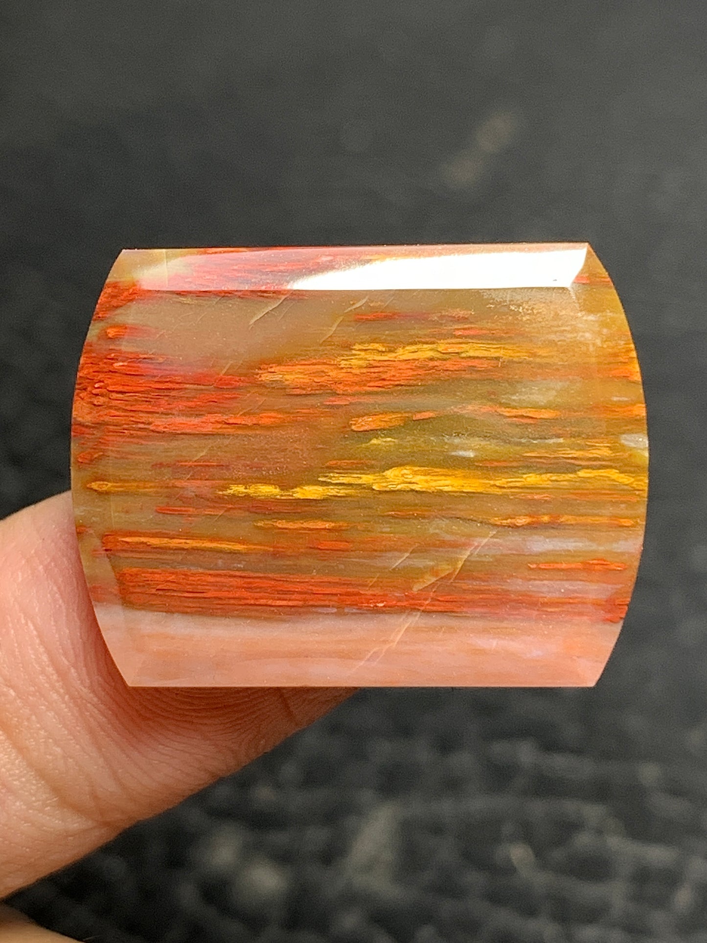 Multicolor Petrified Palmwood Oblong Cabochon 25x19x3mm