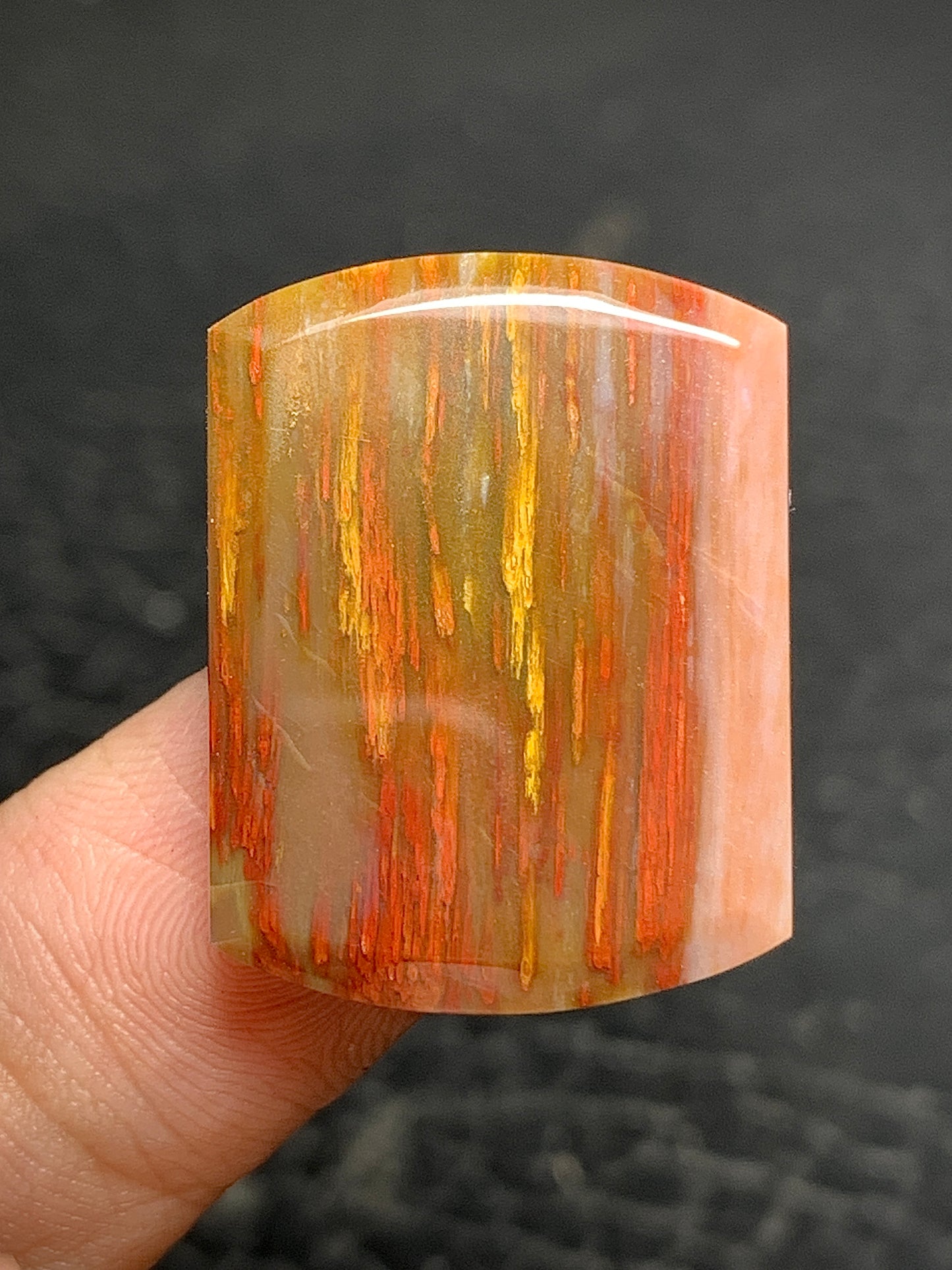 Multicolor Petrified Palmwood Oblong Cabochon 25x19x3mm