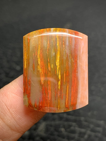 Multicolor Petrified Palmwood Oblong Cabochon 25x19x3mm