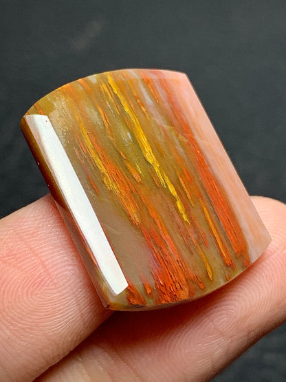 Multicolor Petrified Palmwood Oblong Cabochon 25x19x3mm