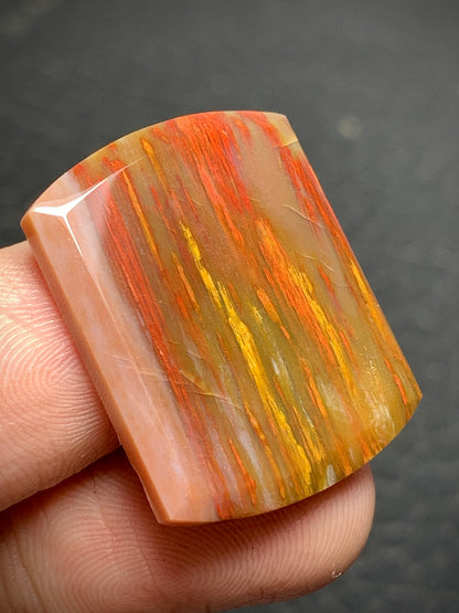 Multicolor Petrified Palmwood Oblong Cabochon 25x19x3mm