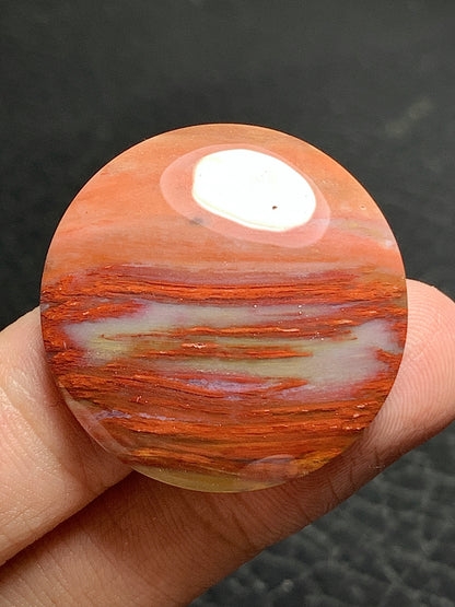 Petrified Palmwood Round Cabochon 29x29x6.5mm