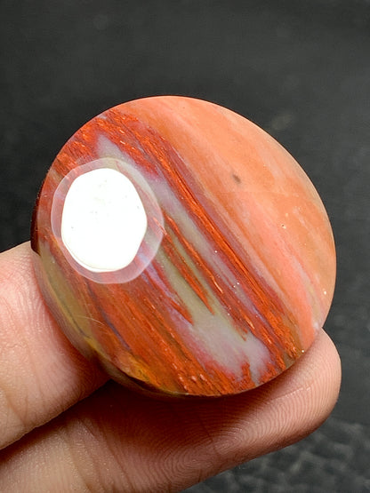 Petrified Palmwood Round Cabochon 29x29x6.5mm