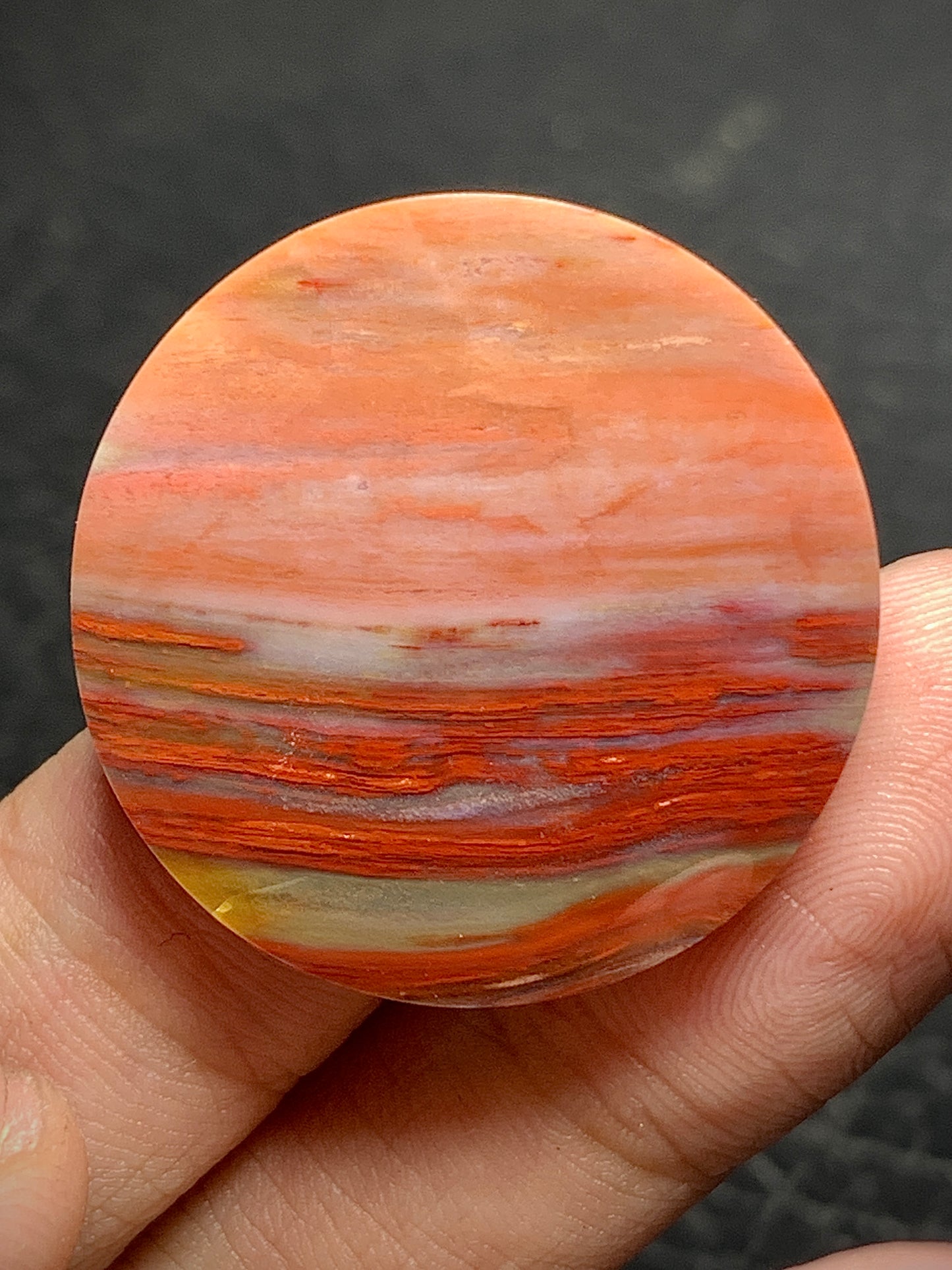 Petrified Palmwood Round Cabochon 29x29x6.5mm