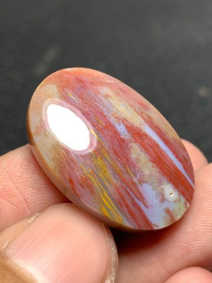 Petrified Palm Wood Oval Cabochon 26.5x18x6mm