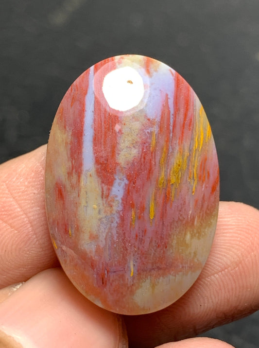 Petrified Palm Wood Oval Cabochon 26.5x18x6mm